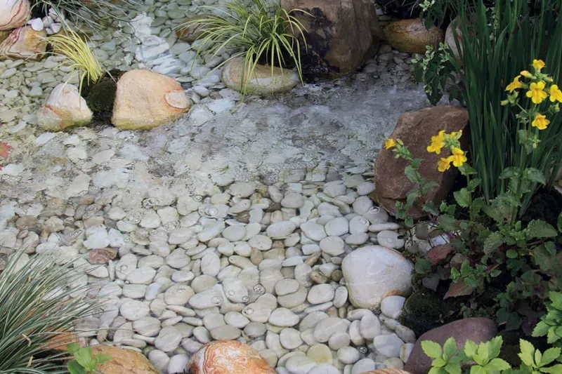 bottom of the pond