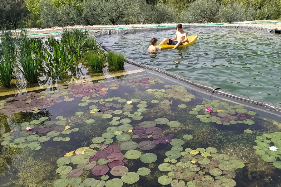 Biopiscina con piante acquatiche