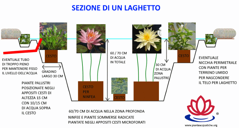 Come realizzare un laghetto
