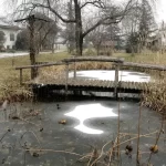 february-tasks-pond-cleaning