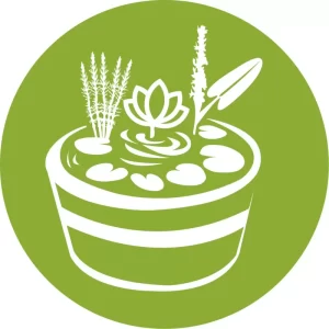 Mini Pond Set